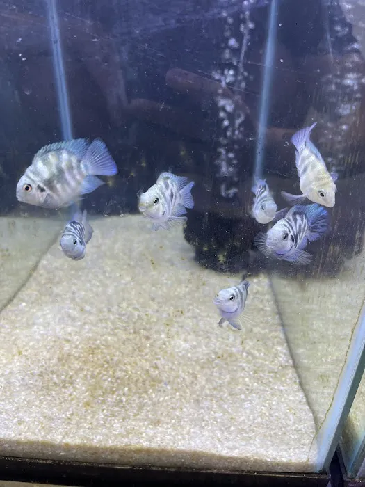 Fish & Reef Picture 10