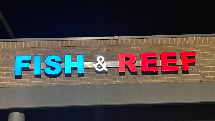 Fish & Reef Picture 9