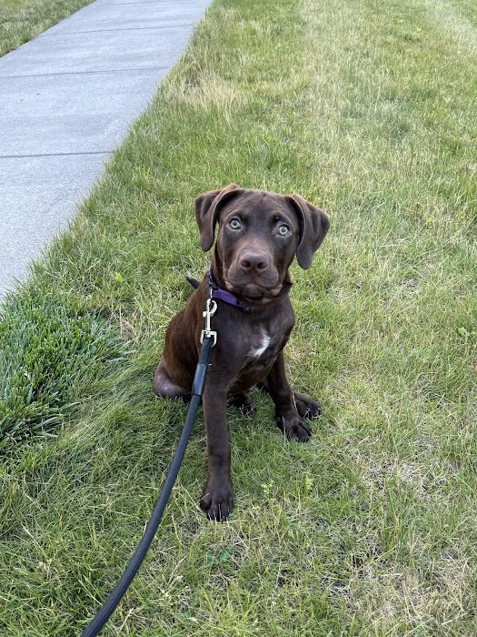 Farmington Veterinary Hospital Picture 5