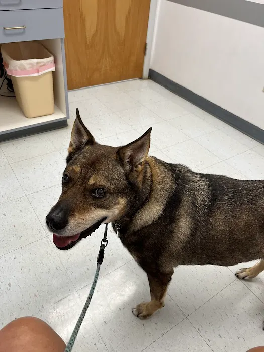 Farmington Veterinary Hospital Picture 3