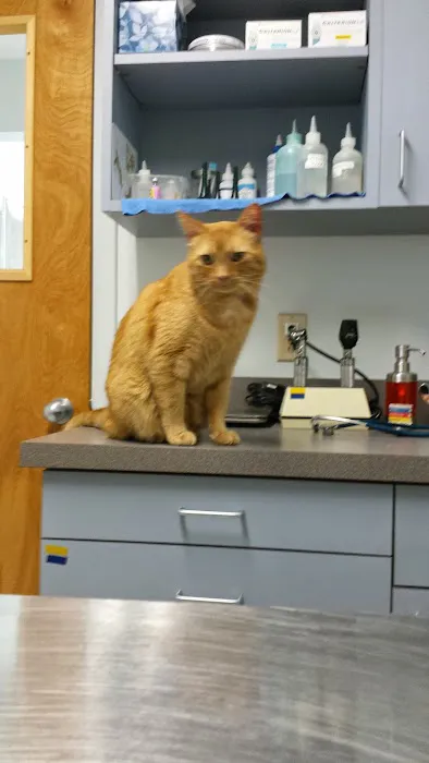Farmington Veterinary Hospital Picture 8