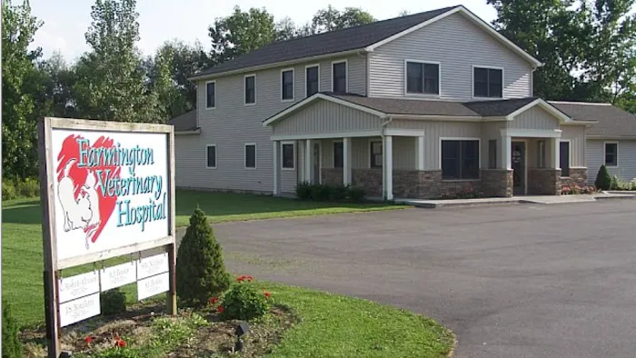 Farmington Veterinary Hospital Picture 10