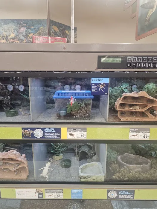 Petco Picture 10