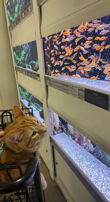 Petco Picture 1