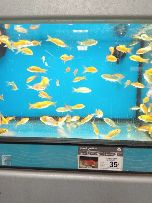 Petco Picture 7