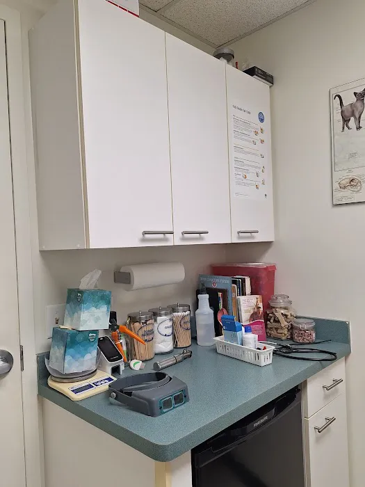 Williamson Animal Hospital Picture 3