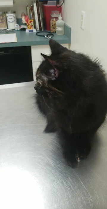 Williamson Animal Hospital Picture 1