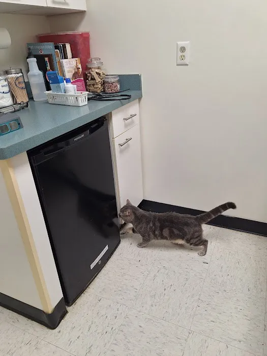 Williamson Animal Hospital Picture 2