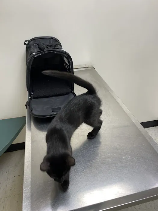 Williamson Animal Hospital Picture 9