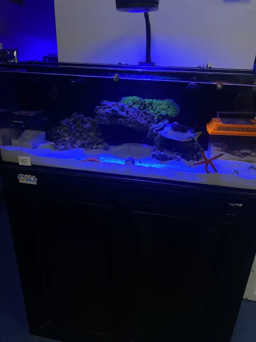 Ocean To You Aquariums Picture 4
