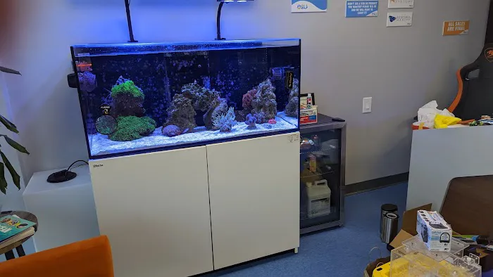 Ocean To You Aquariums Picture 3