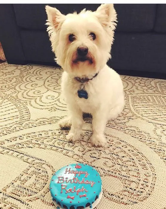 Woof Gang Bakery and Grooming Sugar Land Picture 3
