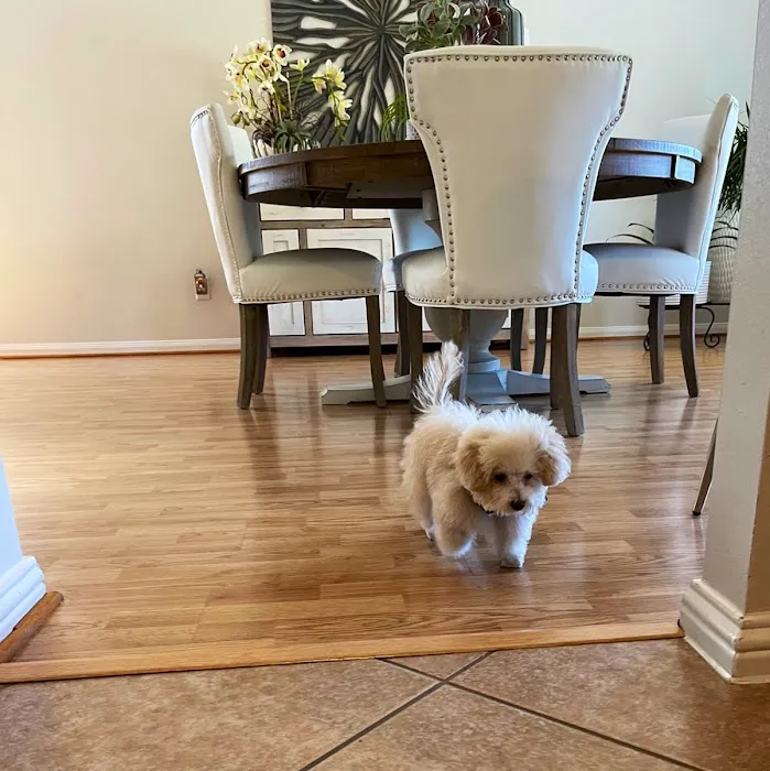 Woof Gang Bakery and Grooming Sugar Land Picture 5