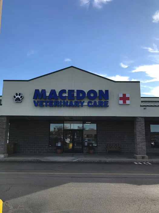 Macedon Veterinary Care Picture 1
