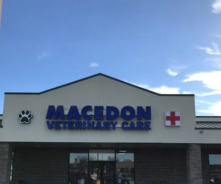 Macedon Veterinary Care