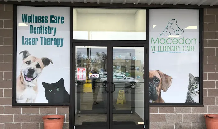 Macedon Veterinary Care Picture 7