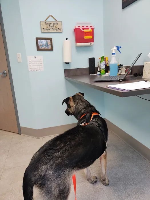Fulton Animal Hospital Picture 1