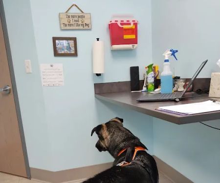 Fulton Animal Hospital