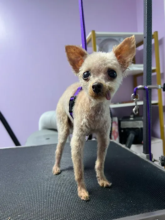 Fulton Animal Hospital Picture 2