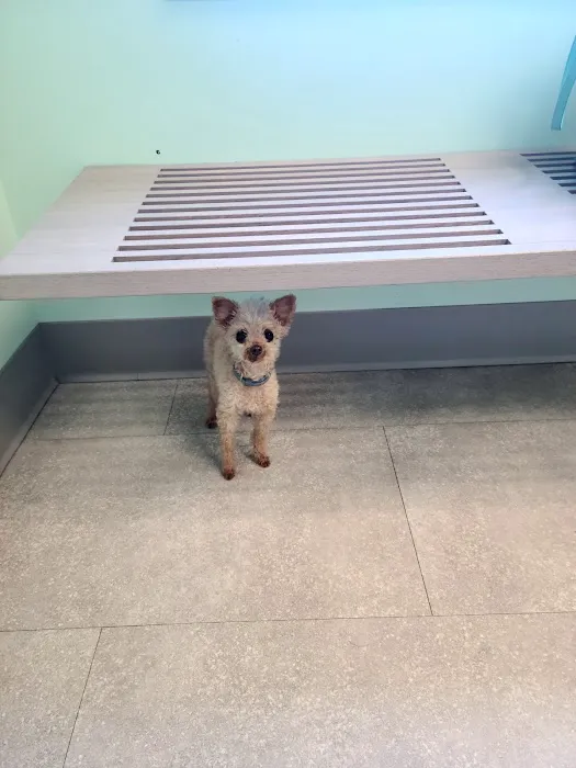 Fulton Animal Hospital Picture 4