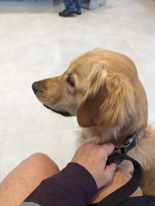 Fulton Animal Hospital Picture 9