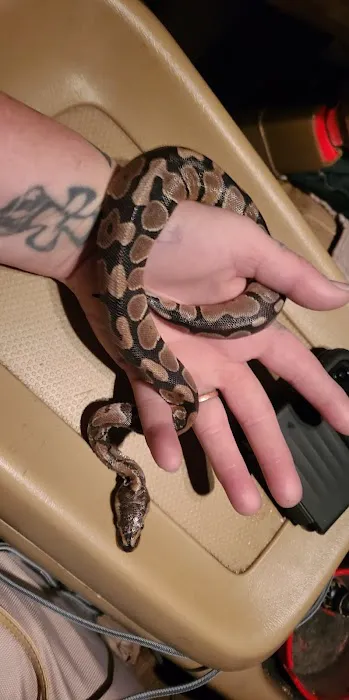 Bay Area Exotic Pets Picture 1