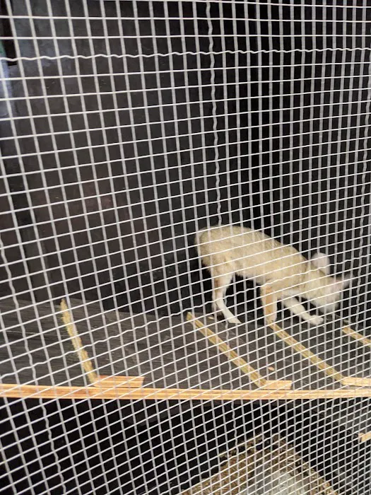 Bay Area Exotic Pets Picture 2