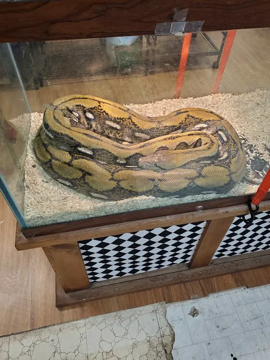 Bay Area Exotic Pets Picture 9