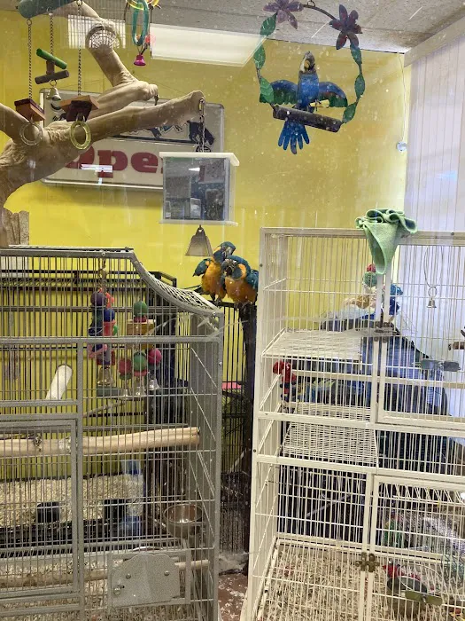 Bay Area Exotic Pets Picture 6