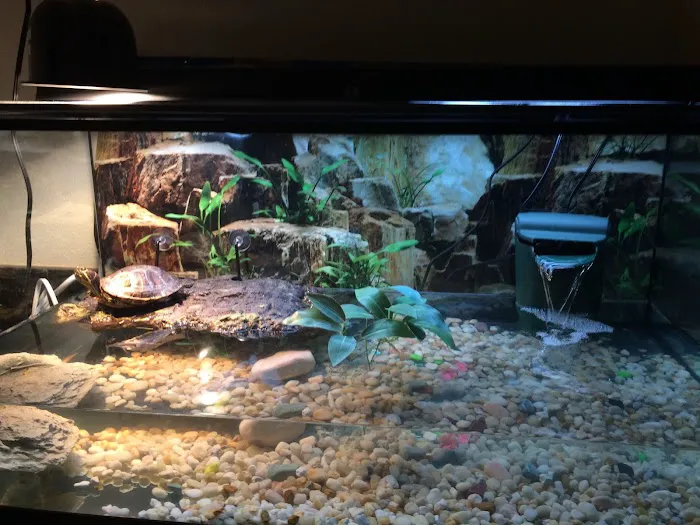Bay Area Exotic Pets Picture 3