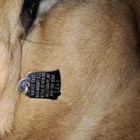 Queensbury Animal Hospital ico