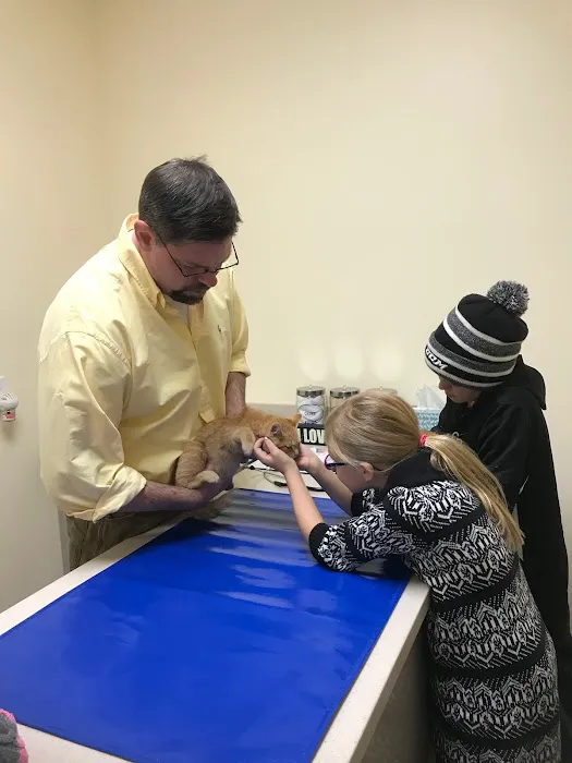 Helping Paws Veterinary Hospital Picture 2