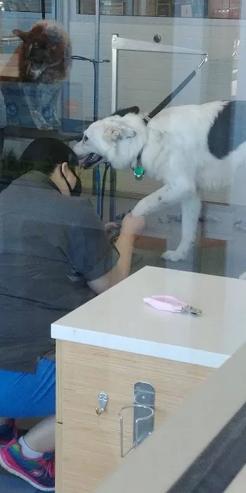Petco Picture 2