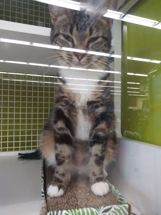 Petco Picture 4