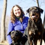 Heart-Wing Veterinary Services
