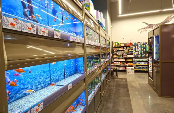 Pet Supplies Plus League City Picture 10
