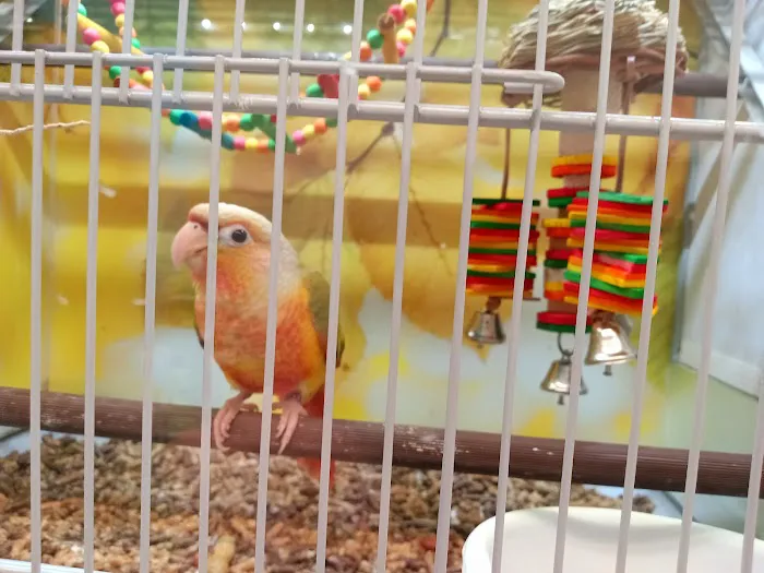 Pet Supplies Plus League City Picture 3