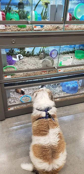 Pet Supplies Plus League City Picture 4