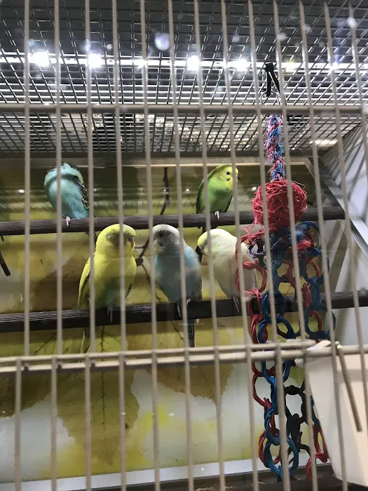 Pet Supplies Plus League City Picture 5