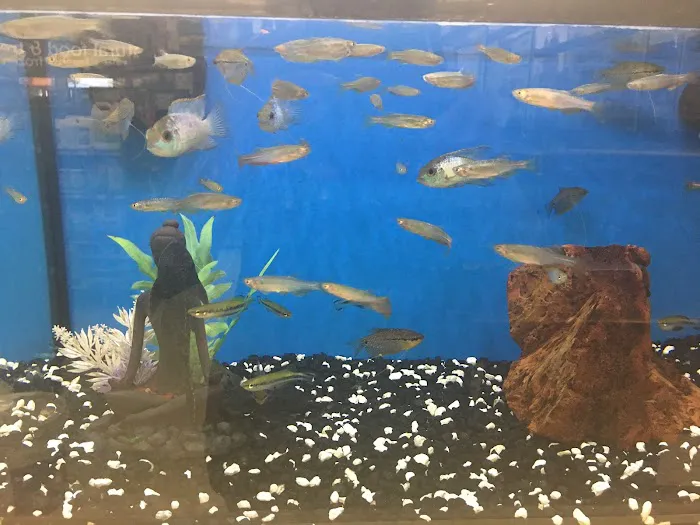 Petco Picture 5