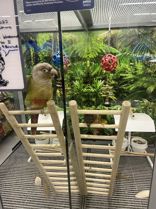Petco Picture 6