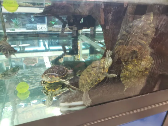 Petco Picture 3