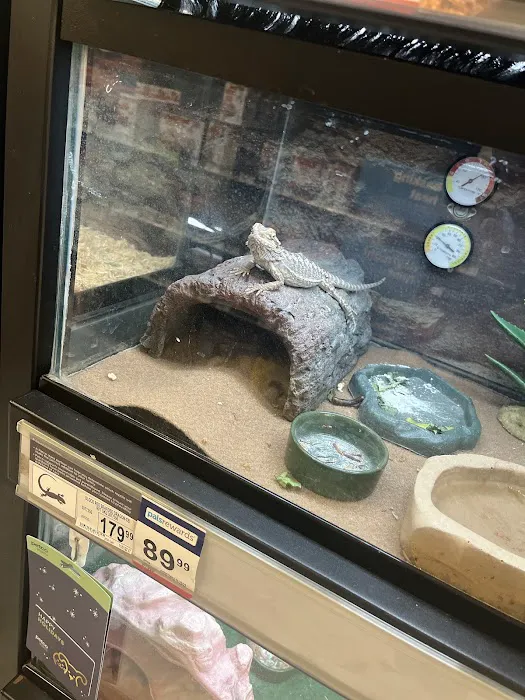 Petco Picture 9
