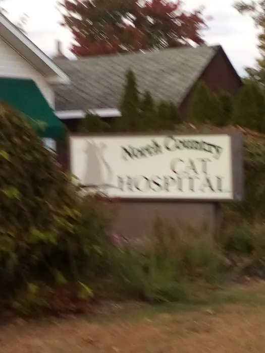 North Country Cat Hospital Picture 2
