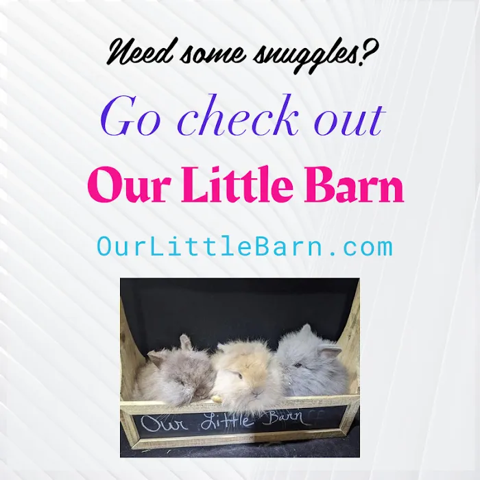 Our Little Barn Picture 8