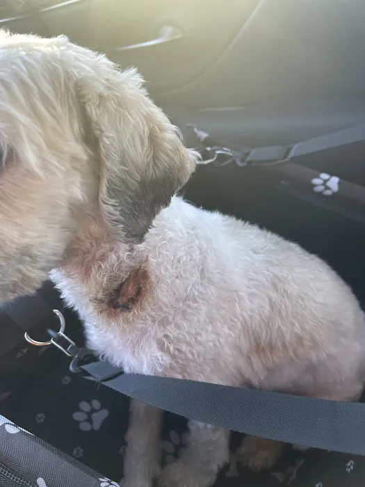 Northway Animal Emergency Clinic Picture 1