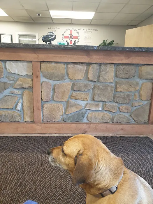 Northway Animal Emergency Clinic Picture 6