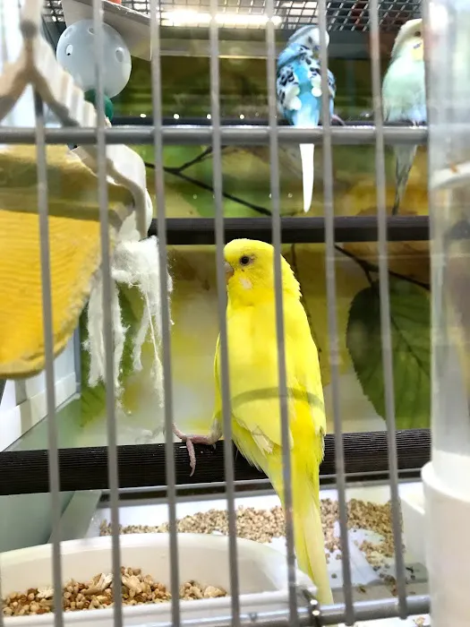 Pet Supplies Plus Sugar Land Picture 1