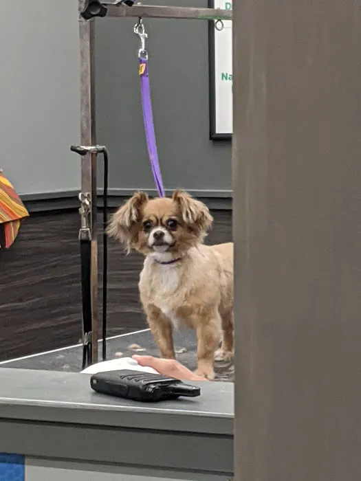Pet Supplies Plus Sugar Land Picture 4