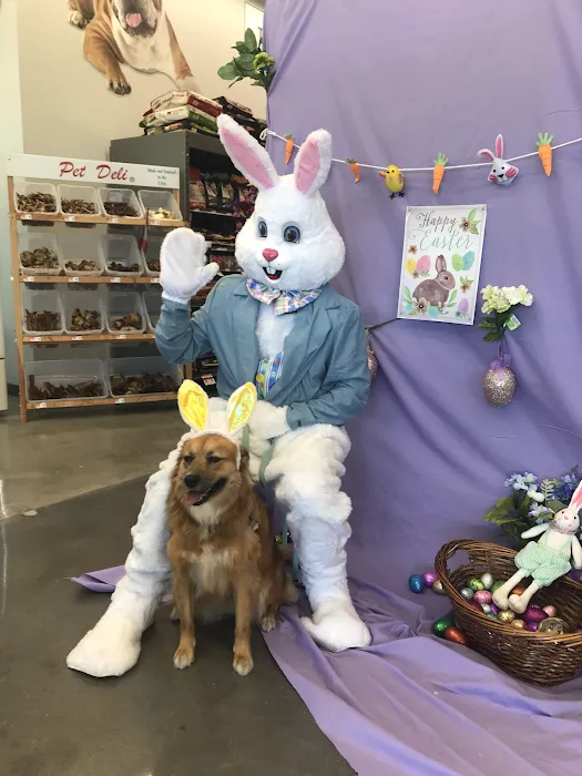 Pet Supplies Plus Sugar Land Picture 10